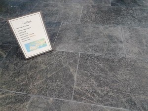 Dalle Fossil Back Flammée