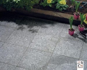 SXS Pietra di Luserna-Grigio Fiammato-lati segati