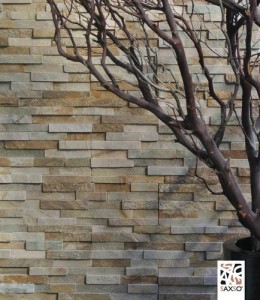 SXS Muretti-CG005-Quarzite gialla